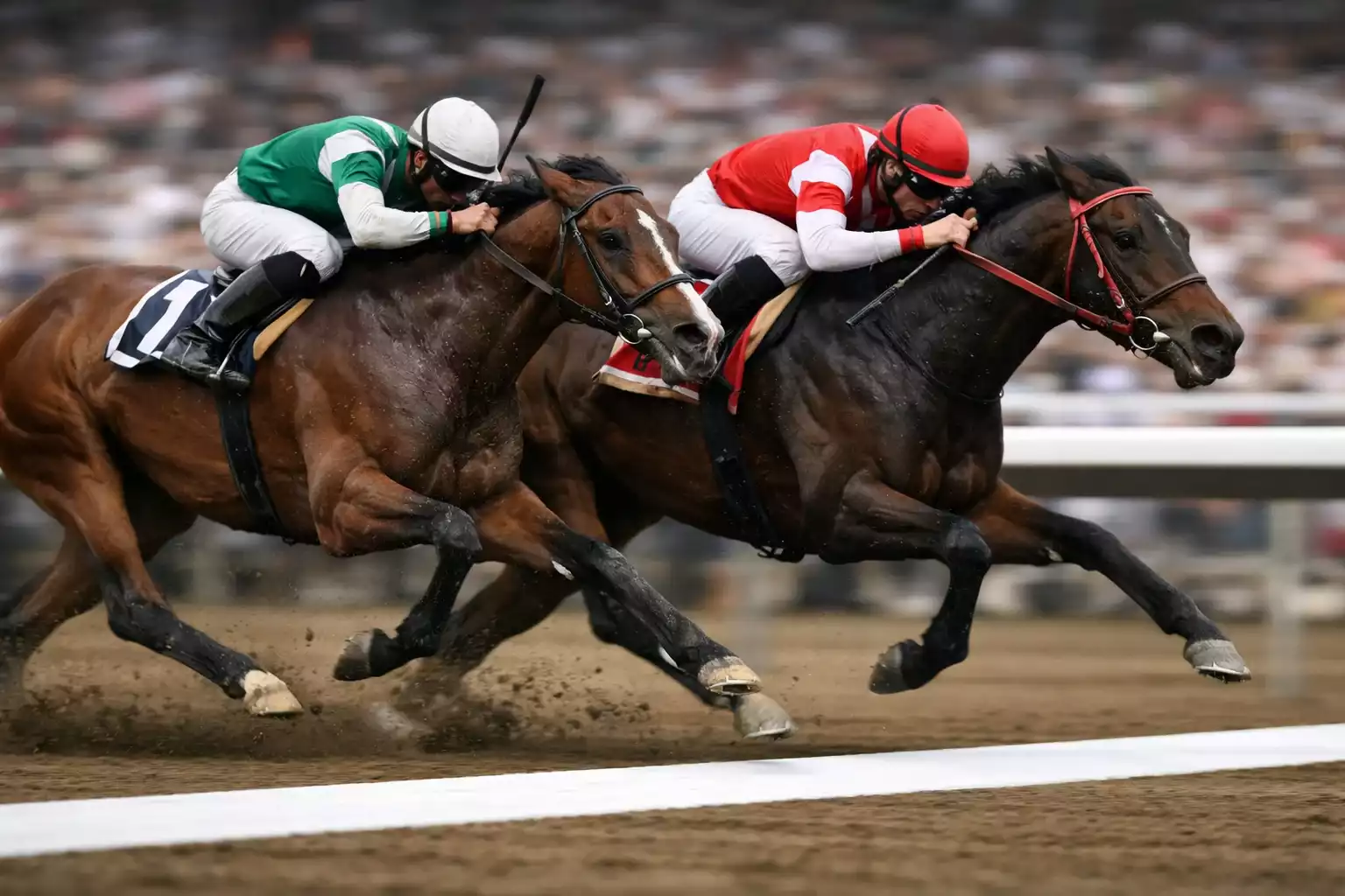 Twee paarden bereiken gelijktijdig de finish in een spannende race